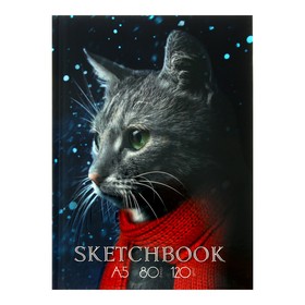 Скетчбук А5, 80 листов "Кот", твёрдая обложка, тонированный блок 120 г/м² (5 цветов по 16 листов)