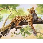 Алмазная мозаика на подрамнике с полным заполнением «Грациозный леопард», 40х50см - фото 6898538