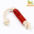 Игрушка "Сосиска в неге на верёвке" для собак, 14 см - фото 4645042