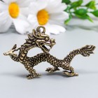 Сувенир латунь "Китайский дракон" 3,3 см - фото 6898901