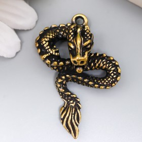 Сувенир латунь "Китайский дракон" 4,3х3,1 см