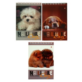 Блокнот А5, 40 листов на гребне "Собаки", обложка ламинированный картон, блок 55 г/м2, МИКС