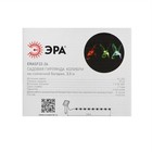 Гирлянда «ЭРА» «Нить» 3.8 м с насадками «Колибри», IP44, тёмная нить, 10 LED, свечение мульти, 1 режим, солнечная батарея 7911909