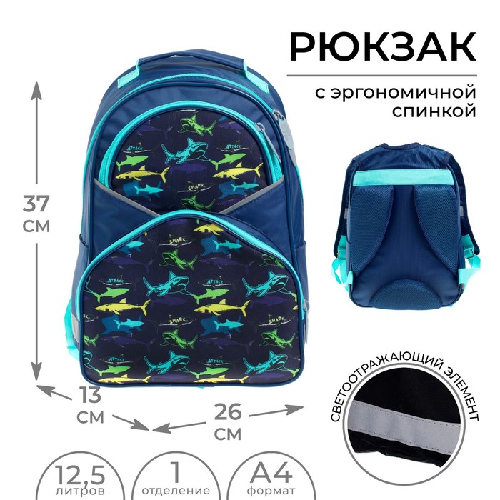 Рюкзак школьный, 37 х 26 х 13 см, эргономичная спинка, Calligrata АН "Акулы" - фото 1778472