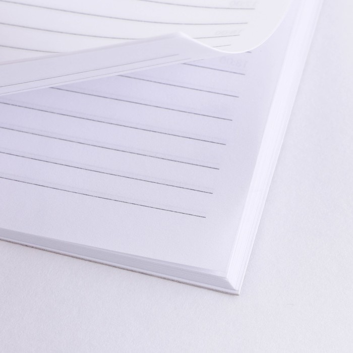 Alnus rugosa. а5 с тонкой обложкой. записная книжка clairefontaine cuiris indigo. книга учета staff 130055. ольха дерево листья.