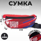 Сумка на пояс «Power sport», 32 x 8 x 15 cм, отд на молнии, красная 7786152 - фото 6529193