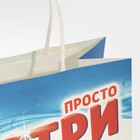 Пакет подарочный «Сотри», 22 × 22 × 11 см 7661220