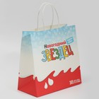 Пакет подарочный «Звездец», 22 × 22 × 11 см 7661225