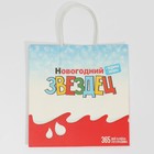 Пакет подарочный «Звездец», 22 × 22 × 11 см 7661225