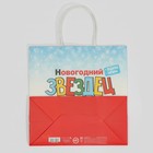 Пакет подарочный «Звездец», 22 × 22 × 11 см 7661225