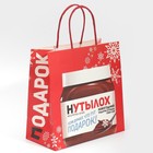 Пакет подарочный «Нутылох», 22 × 22 × 11 см 7661226
