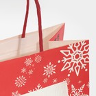 Пакет подарочный «Нутылох», 22 × 22 × 11 см 7661226