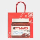 Пакет подарочный «Нутылох», 22 × 22 × 11 см 7661226