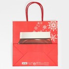 Пакет подарочный «Нутылох», 22 × 22 × 11 см 7661226