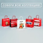 Пакет подарочный «Нутылох», 22 × 22 × 11 см 7661226