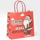 Пакет подарочный «Дед мороз», 22 × 22 × 11 см - фото 5250996