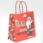 Пакет подарочный «Дед мороз», 22 × 22 × 11 см 7661227