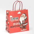 Пакет подарочный «Дед мороз», 22 × 22 × 11 см 7661227