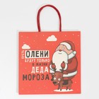 Пакет подарочный «Дед мороз», 22 × 22 × 11 см 7661227