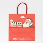 Пакет подарочный «Дед мороз», 22 × 22 × 11 см 7661227