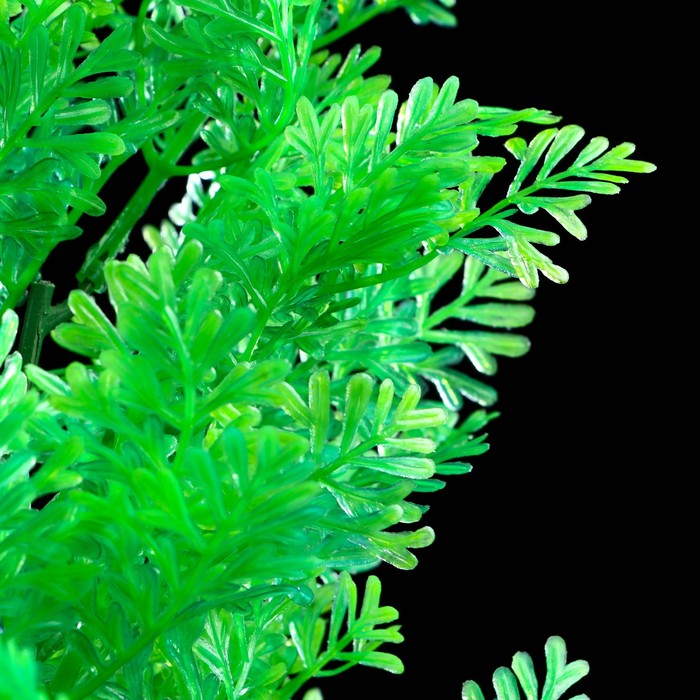 Аква зеленая. Искусственные аквариумные растения.