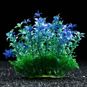 Artificial aquarium plant, 15 cm, blue-green
