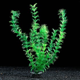 Растение искусственное аквариумное, 4 х 30 см, зелёное, 1 шт.