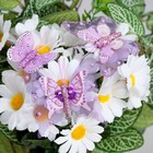 Бабочки для декора и флористики, на прищепке, пластиковые, фиолетовые, микс, 5 см и 8 см - фото 6913998