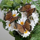 Бабочка для декора и флористики, на прищепке, пластиковая, коричневая, микс, 1 шт., 5 см и 8 см - фото 5236241