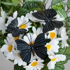 Бабочки для декора и флористики, на прищепке, пластиковые, черные, микс, 5 см и 8 см - фото 5236253
