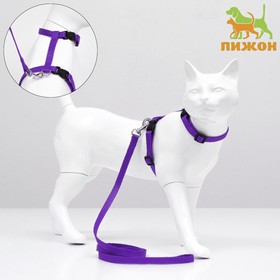 Комплект для кошек, ширина 1 см, ОШ 16,5-27 см, ОГ 21-35 см, поводок 120 см, фиолетовый