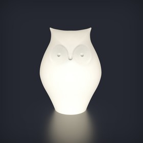 {{productViewItem.photos[photoViewList.activeNavIndex].Alt || productViewItem.photos[photoViewList.activeNavIndex].Description || 'Светильник Owl, 15 × 25 × 15 см, IP65, аккумулятор, свечение RGB'}}