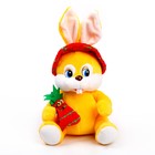 Мягкая игрушка «Кролик в панаме», 16 см - фото 5251553