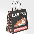 Пакет подарочный «Рожа», 22 × 22 × 11 см 7661232