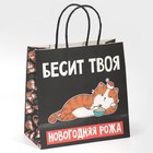 Пакет подарочный «Рожа», 22 × 22 × 11 см 7661232