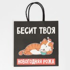 Пакет подарочный «Рожа», 22 × 22 × 11 см 7661232