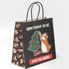 Пакет подарочный «Звезда», 22 × 22 × 11 см 7661233