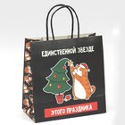 Пакет подарочный «Звезда», 22 × 22 × 11 см 7661233