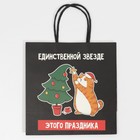 Пакет подарочный «Звезда», 22 × 22 × 11 см 7661233