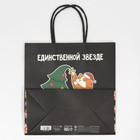 Пакет подарочный «Звезда», 22 × 22 × 11 см 7661233