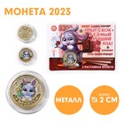 Сувенирная монета 2023 «Большого дохода в течении года», металл, d = 2 см - фото 5388078