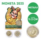 Сувенирная монета 2023 «Удачи в Новом году», металл, d = 2 см - фото 5388090