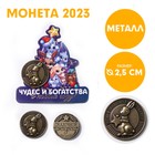 Сувенирная монета 2023 «Чудес и богатства в новом году!», латунь, d = 2,5 см - фото 5388219