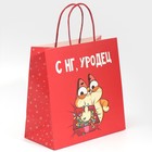 Пакет подарочный «Уродец», 22 × 22 × 11 см 7661215