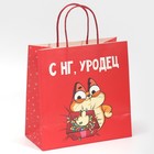 Пакет подарочный «Уродец», 22 × 22 × 11 см 7661215