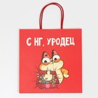 Пакет подарочный «Уродец», 22 × 22 × 11 см 7661215