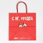 Пакет подарочный «Уродец», 22 × 22 × 11 см 7661215