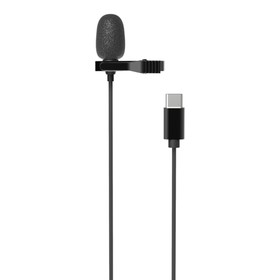 Микрофон RITMIX RCM-210 Black, в комплекте держатель-клипса, разъем type-c, кабель 2 м