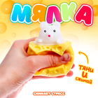Мялка «Сыр», цвета МИКС - фото 108190484