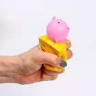 Мялка «Сыр», цвета МИКС - фото 108190486